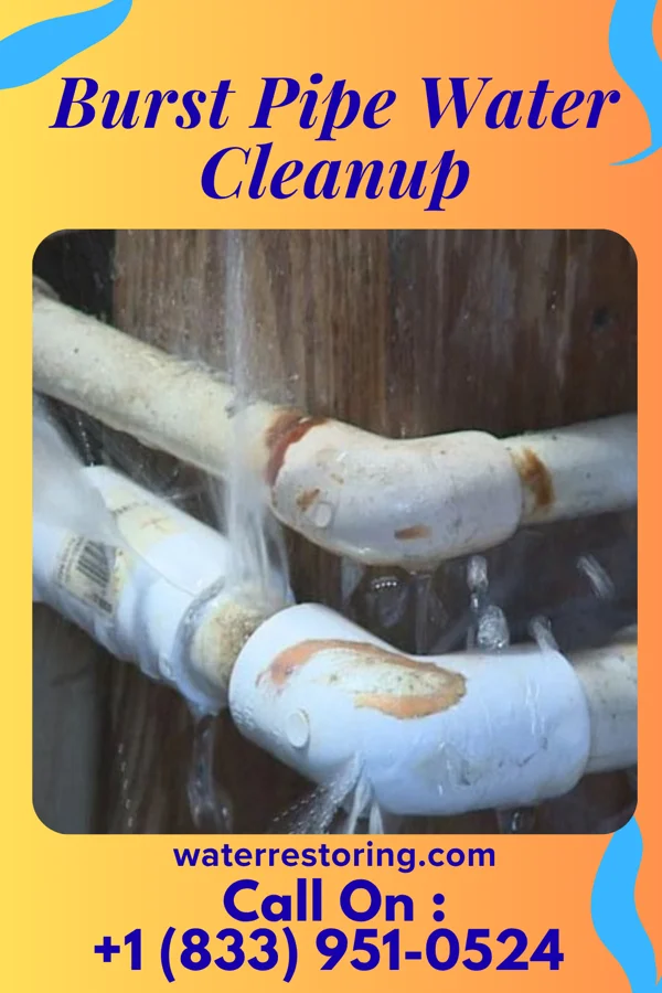 Burst Pipe Water Cleanup in Claysville, PA