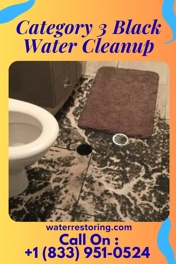 Category 3 Black Water Cleanup in Claysville, PA