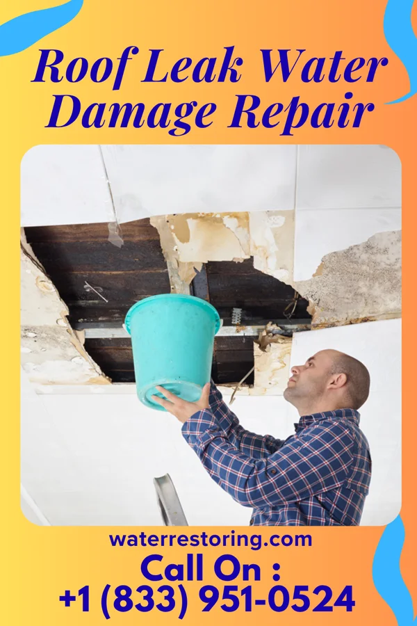 Roof Leak Water Damage Repair in Claysville, PA