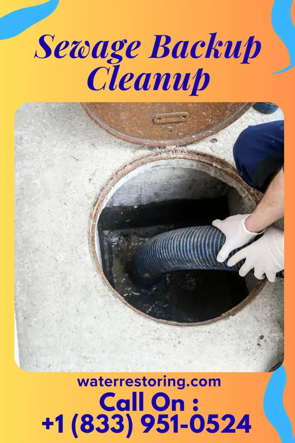 Sewage Backup Cleanup in Claysville, PA